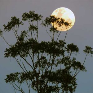 Bulan Purnama dan Supermoon