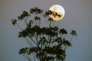 Bulan Purnama dan Supermoon