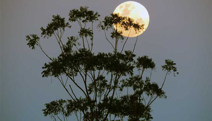 Bulan Purnama dan Supermoon