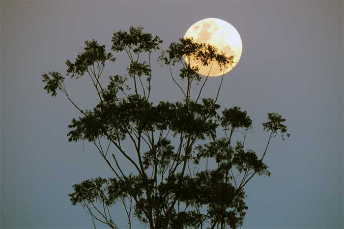 Bulan Purnama dan Supermoon