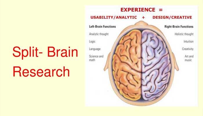 Penelitian Teknik Split Brain