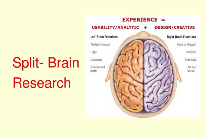 Penelitian Teknik Split Brain