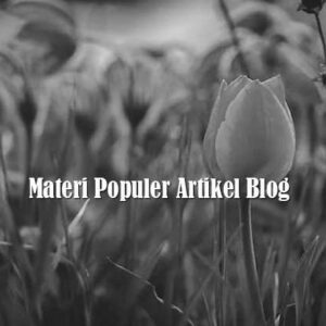 Materi Populer Artikel Blog