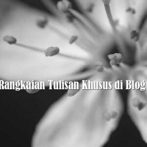 Rangkaian Tulisan Khusus di Blog