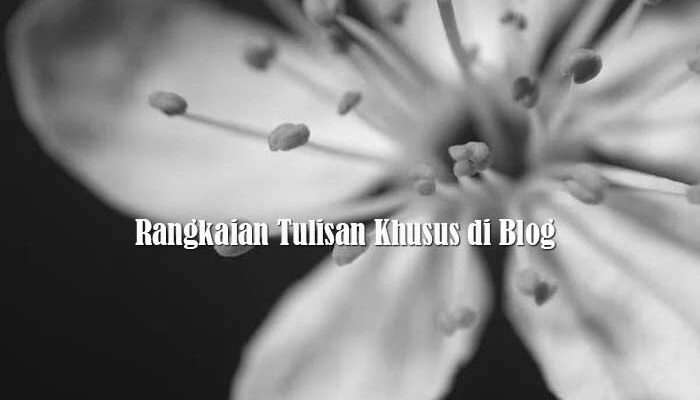 Rangkaian Tulisan Khusus di Blog