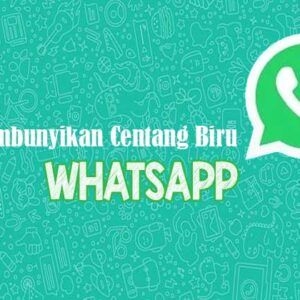 aplikasi whatsapp