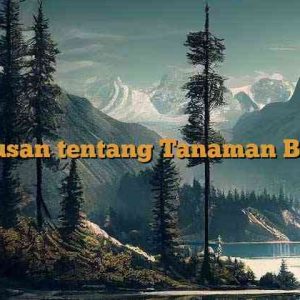 Rumusan tentang Tanaman Bonsai