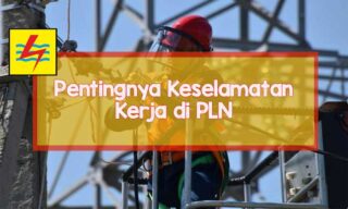 pln