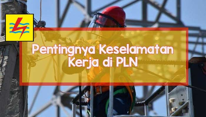 pln